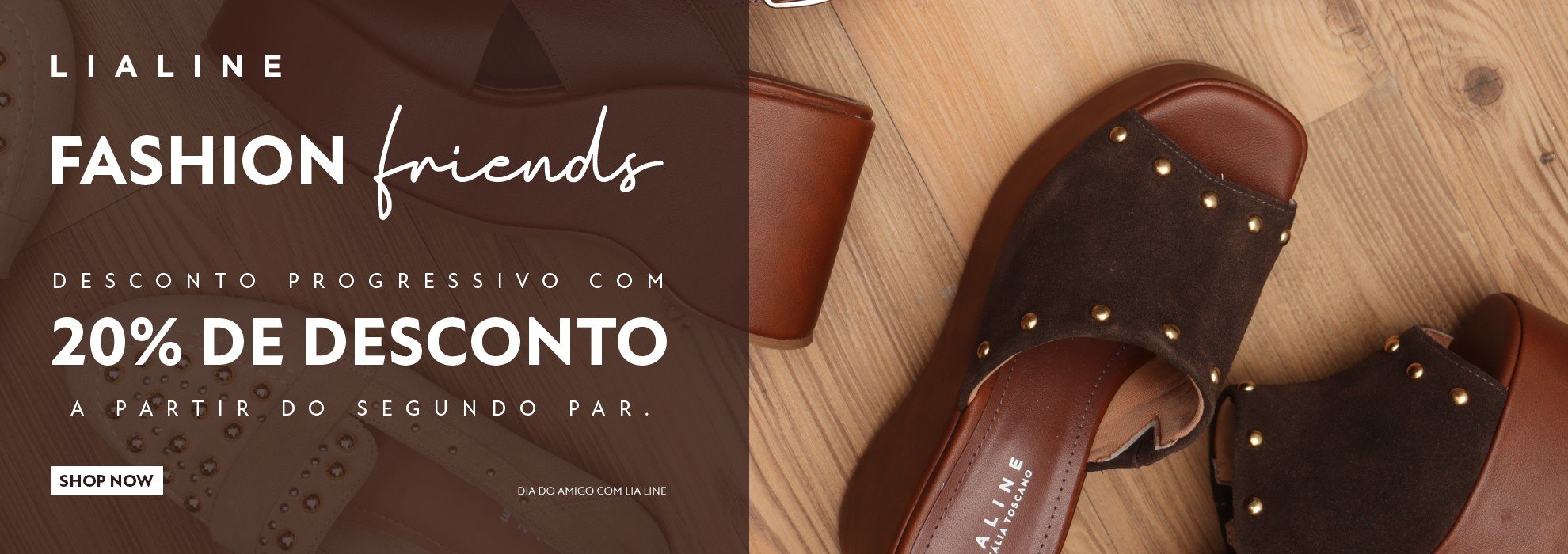 dia do amigo lia line banner desktop 1980x700
